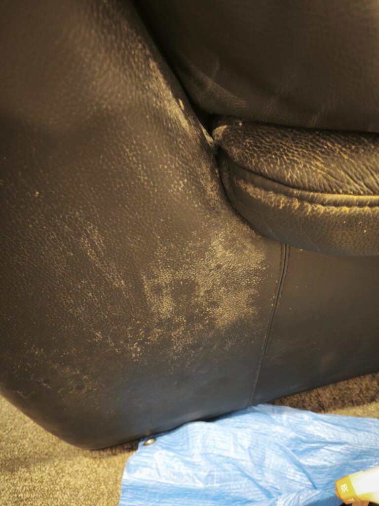 カビが生えた本革ソファー